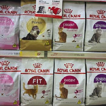 Ração Royal Canin em São Paulo